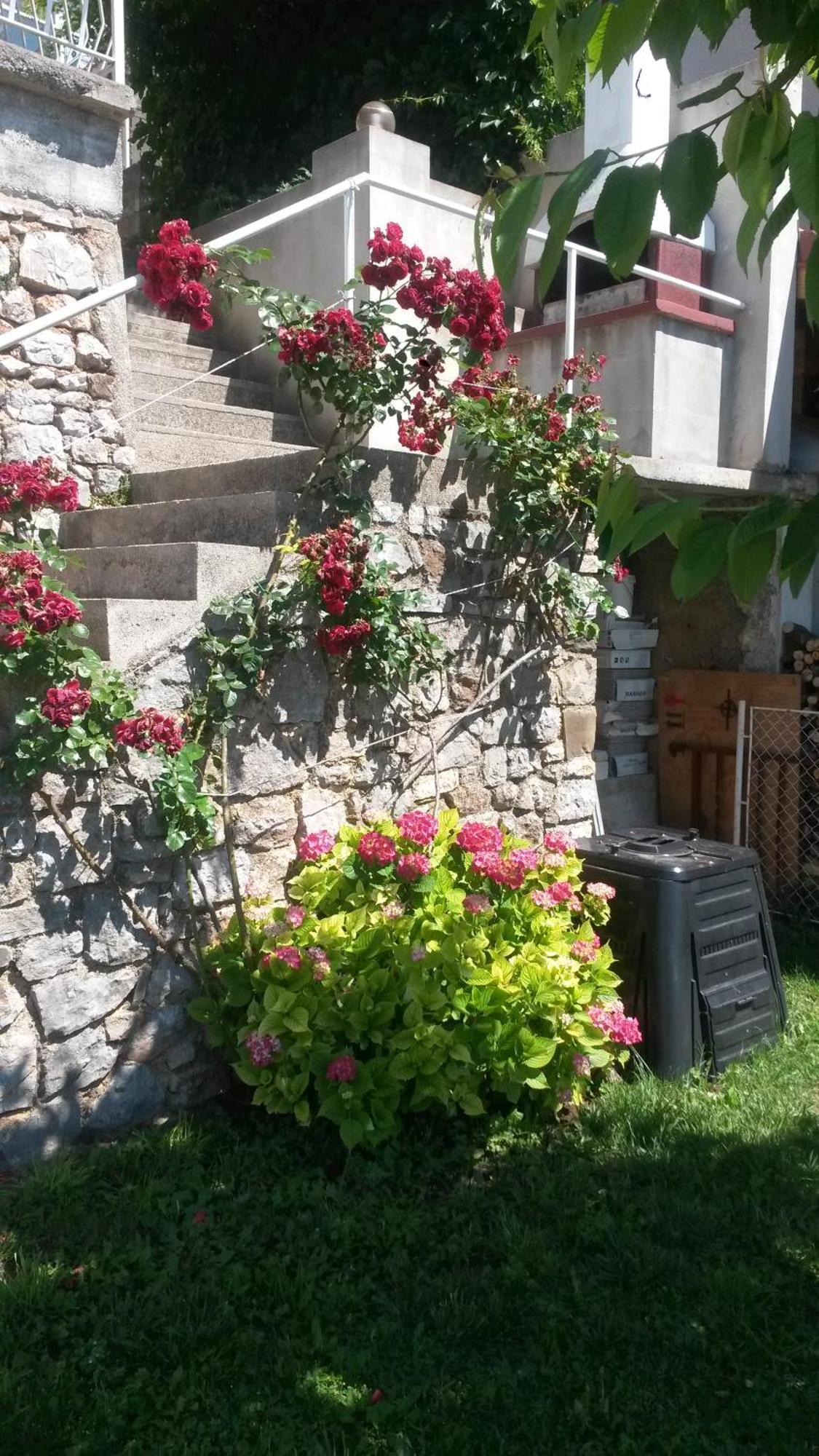 Apartmani Silvana&Vera Сень Экстерьер фото